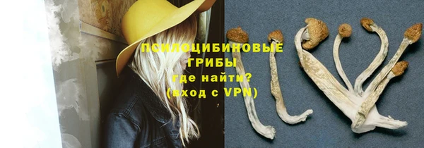 каннабис Богданович