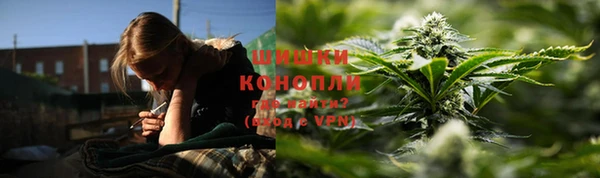 дживик Богородск