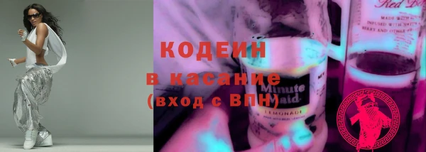 дживик Богородск